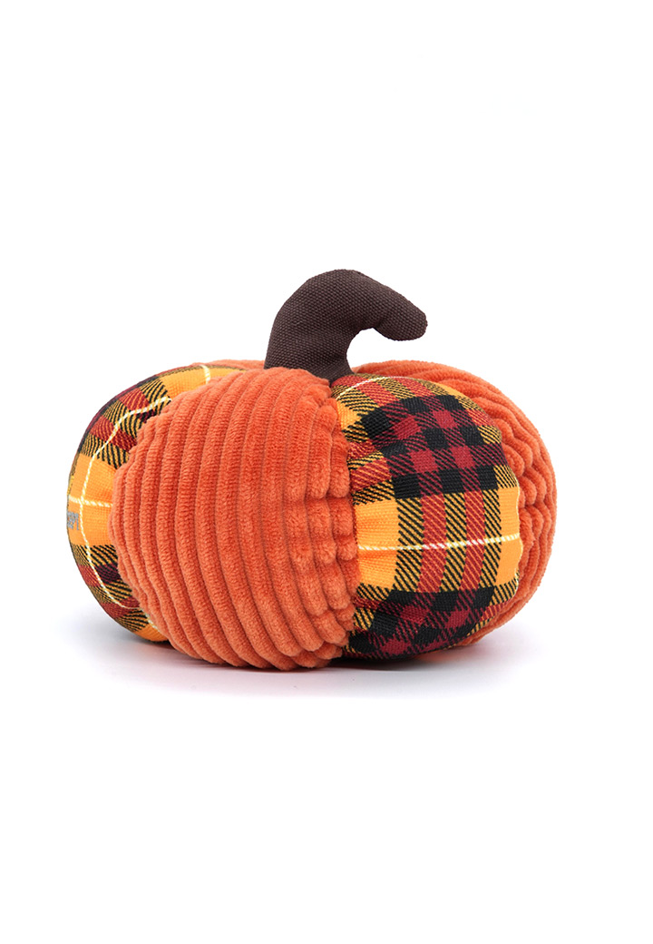 Large pumpkin Picture 4