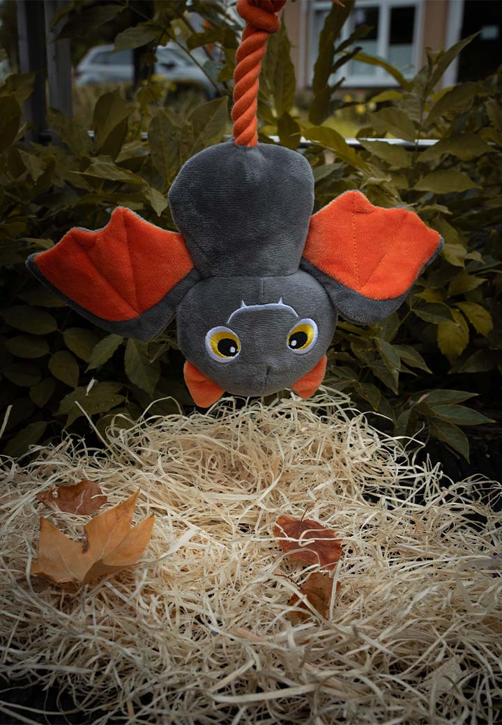Franzi the bat Picture 3