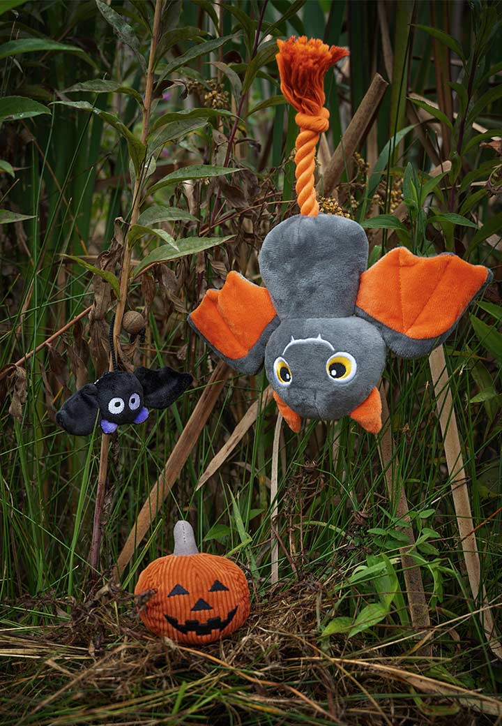 Franzi the bat Picture 5