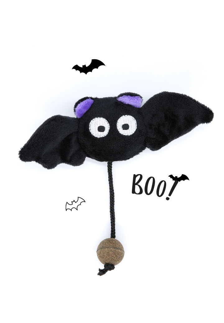 Josy the bat