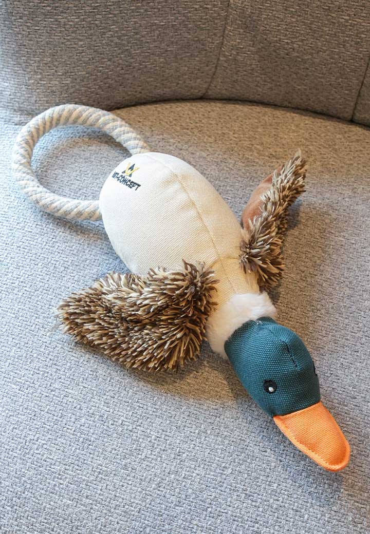 Duck Eddy Picture 2