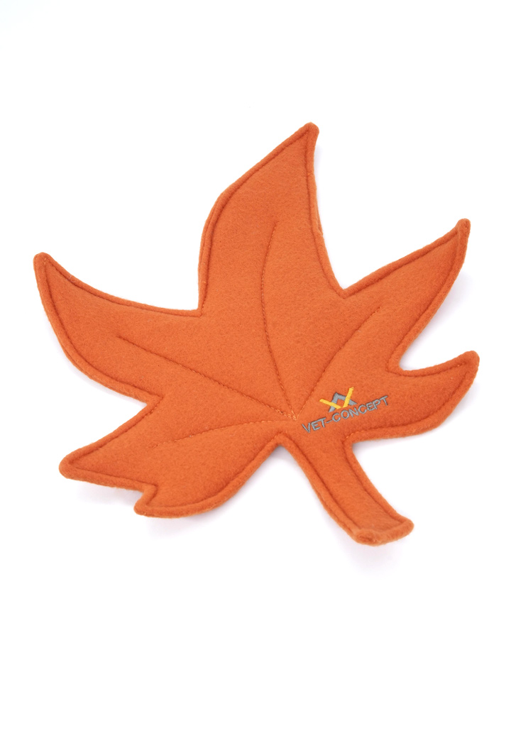 Autumn leaf orange