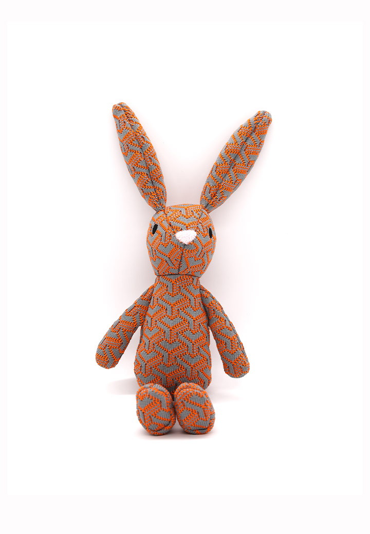 Rabbit Joschi Picture 2