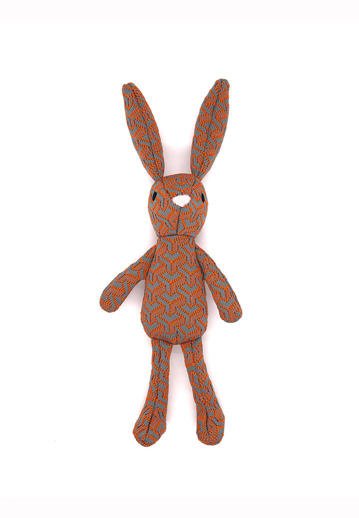 Rabbit Joschi Picture 3