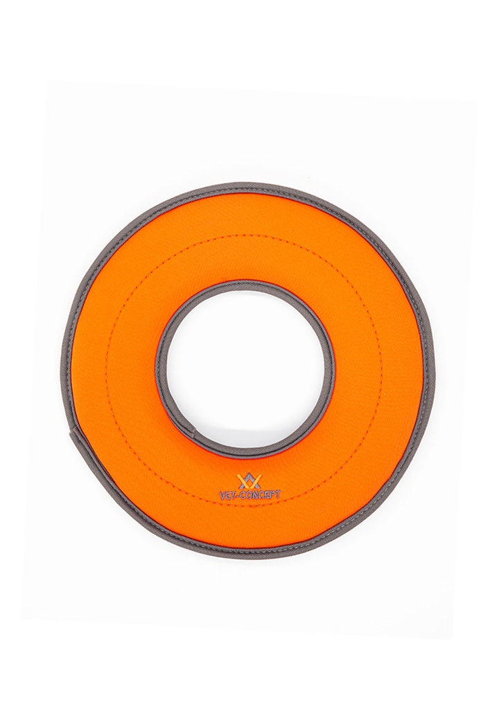 Dog Toy Frisbee Picture 4