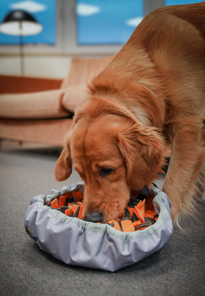 Sniffing rug