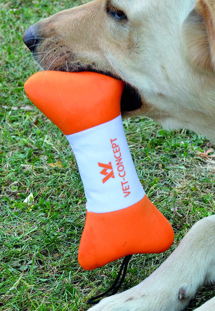 Vet-Concept Swim Bone Picture 3