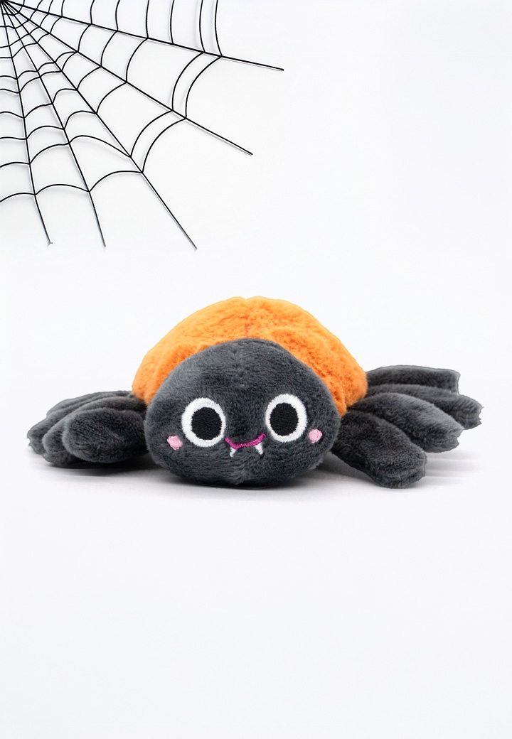 Spinne Kathi Picture 2