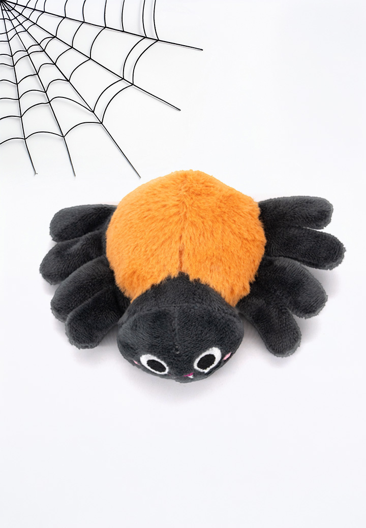 Spinne Kathi Picture 3