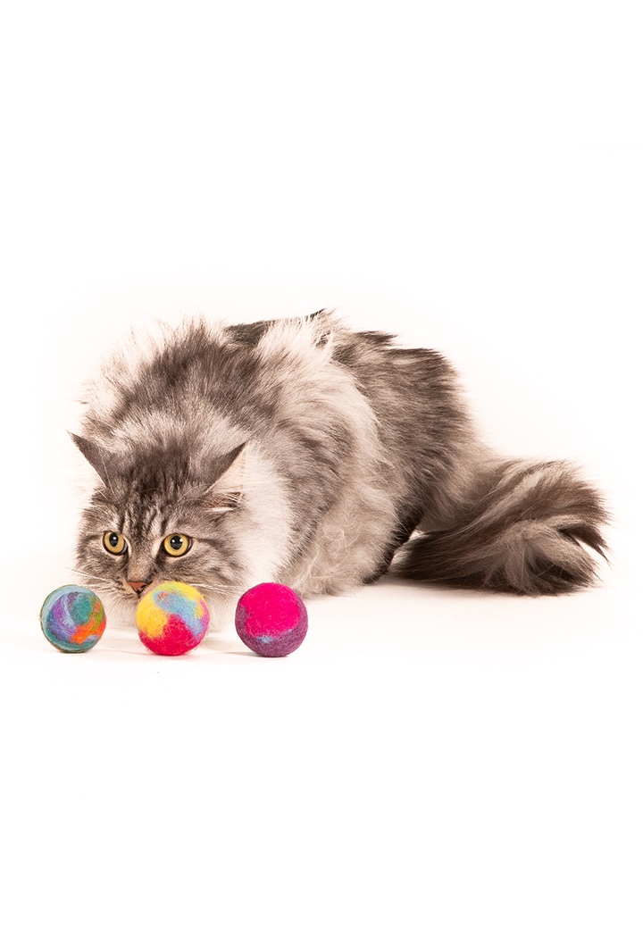 Cat Toy Felty