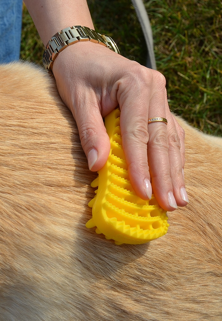 groomy Care Brush Picture 3