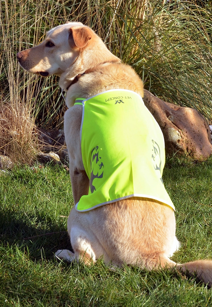 Vet-Concept High-visibility Vest Picture 2