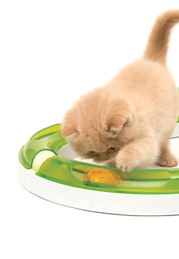 Catit Senses Play Circuit Picture 3