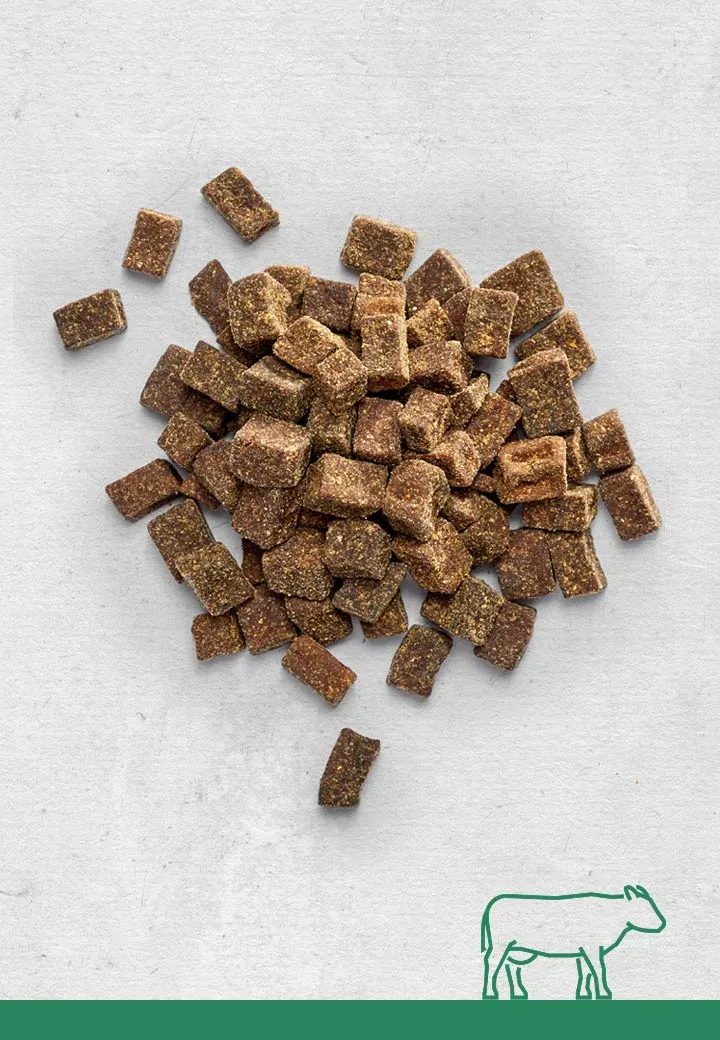 Tasty beef meat morsels, 100g, 250g, 1000g