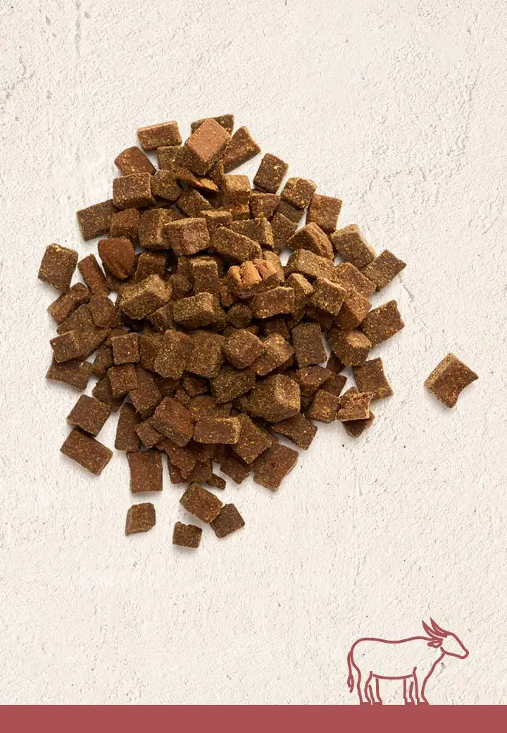 Tasty buffalo meat morsels, 100g, 250g, 1000g