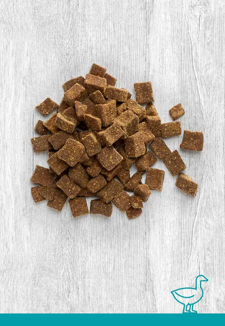 Tasty duck meat morsels, 100g, 250g, 1000g