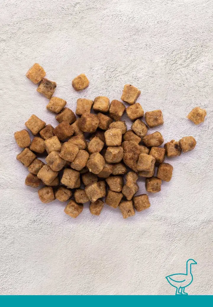Tasty goose meat morsels, 100g, 250g, 1000g