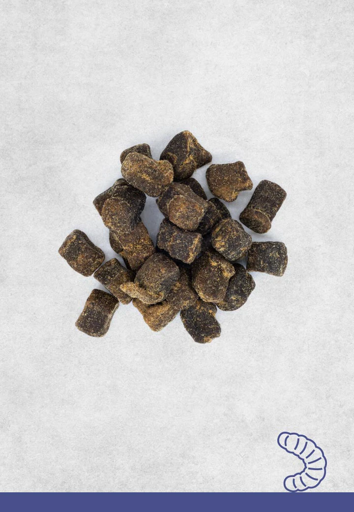 Tasty hermetia illucens morsels, 100g, 250g, 1000g