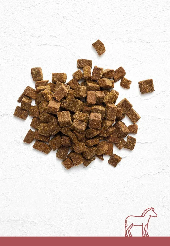 Tasty horse meat morsels, 100g, 250g, 1000g