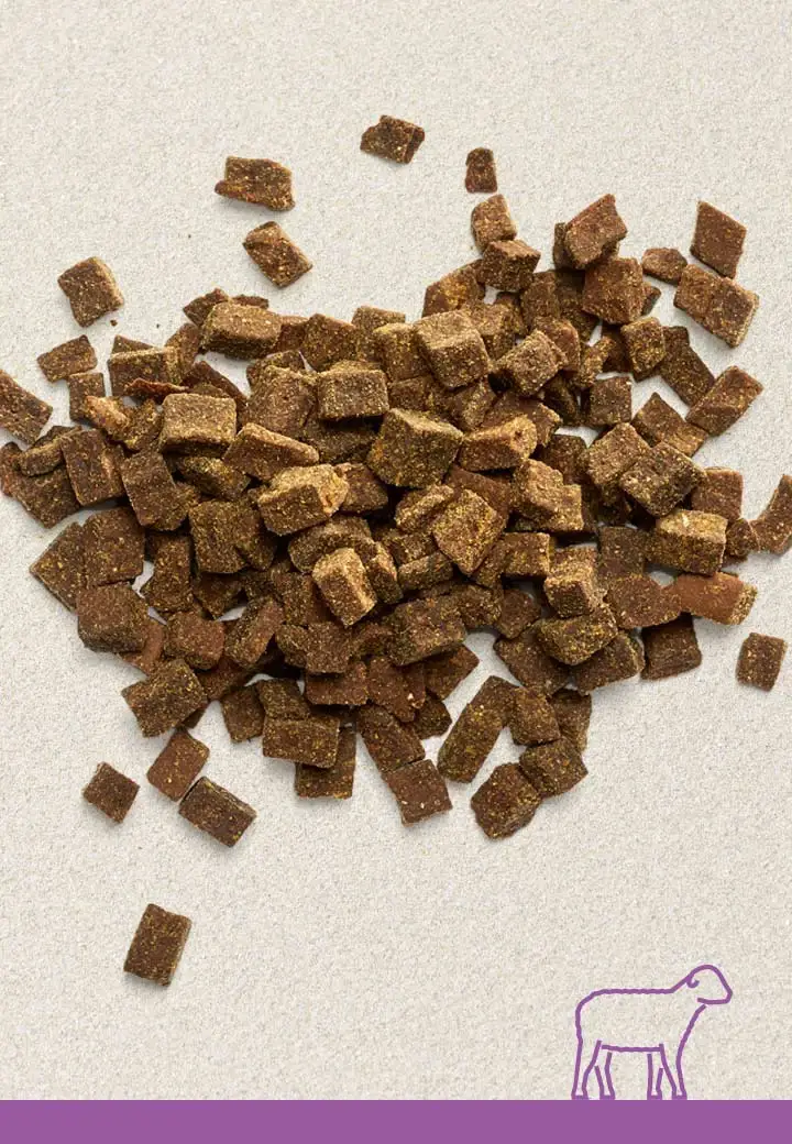 Tasty lamb meat morsels, 100g, 250g, 1000g