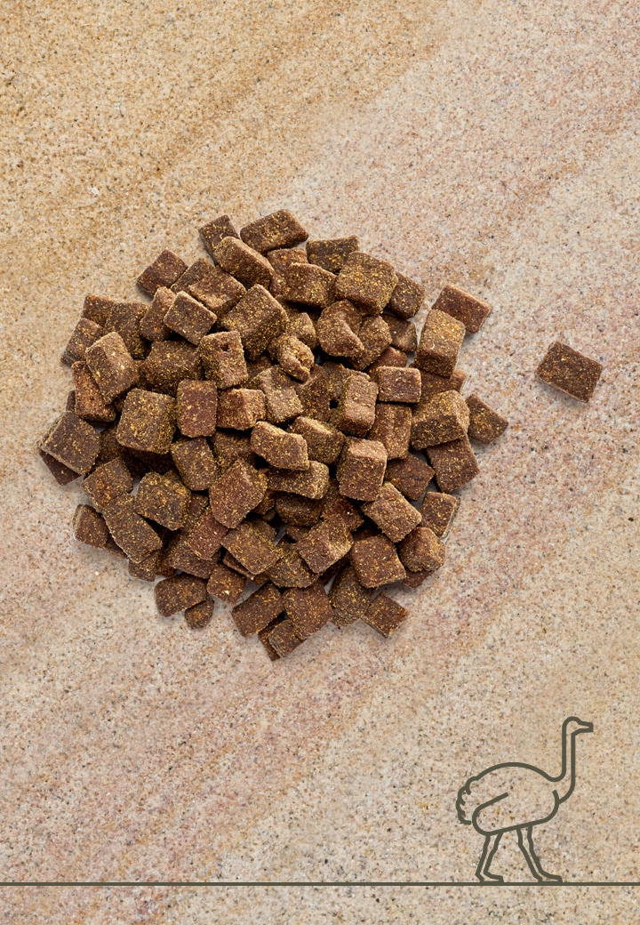 Tasty ostrich meat morsels, 100g, 250g, 1000g