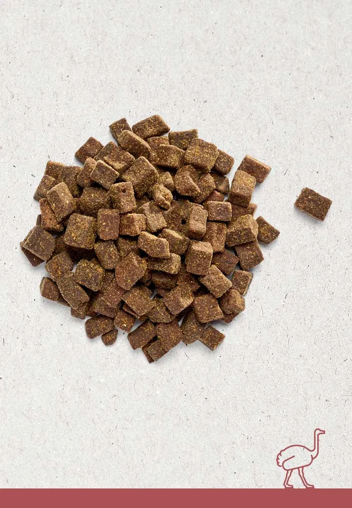 Tasty ostrich meat morsels, 100g, 250g, 1000g