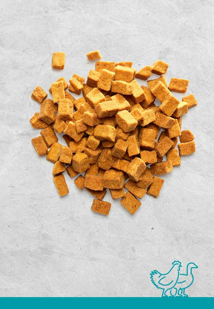 Tasty poultry meat morsels, 100g, 250g, 1000g