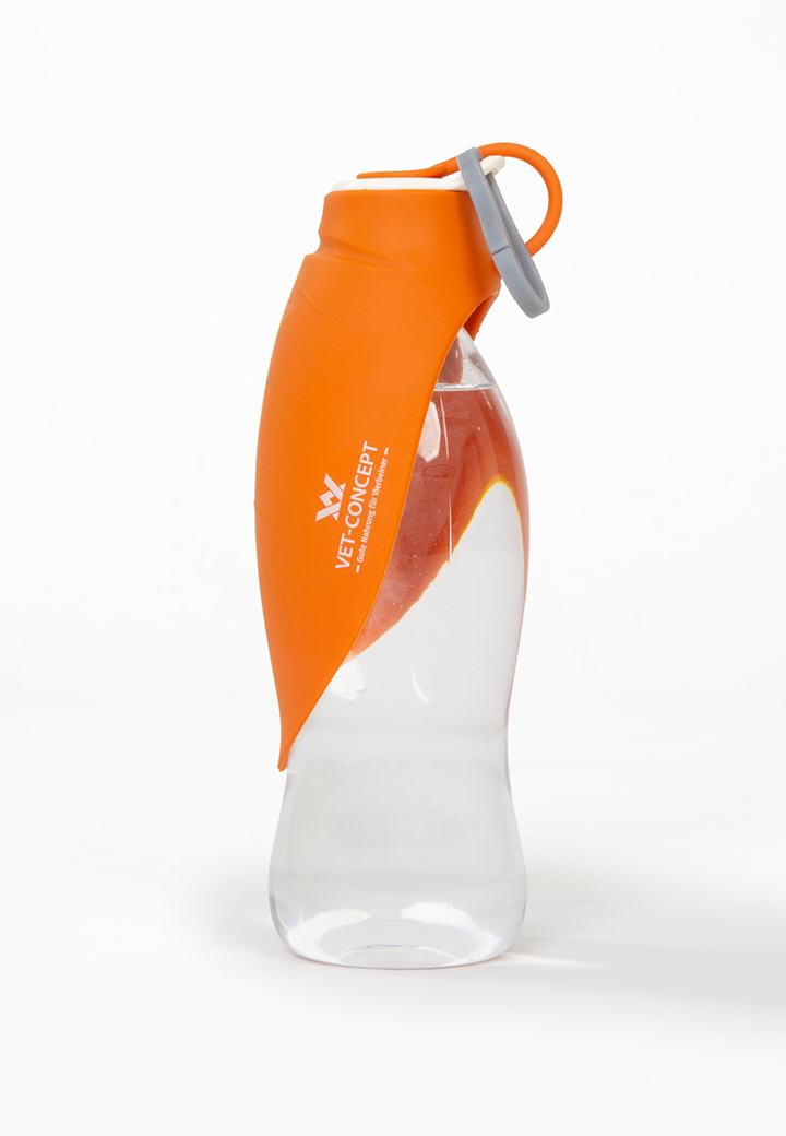 Travel drinking bottle Leaf