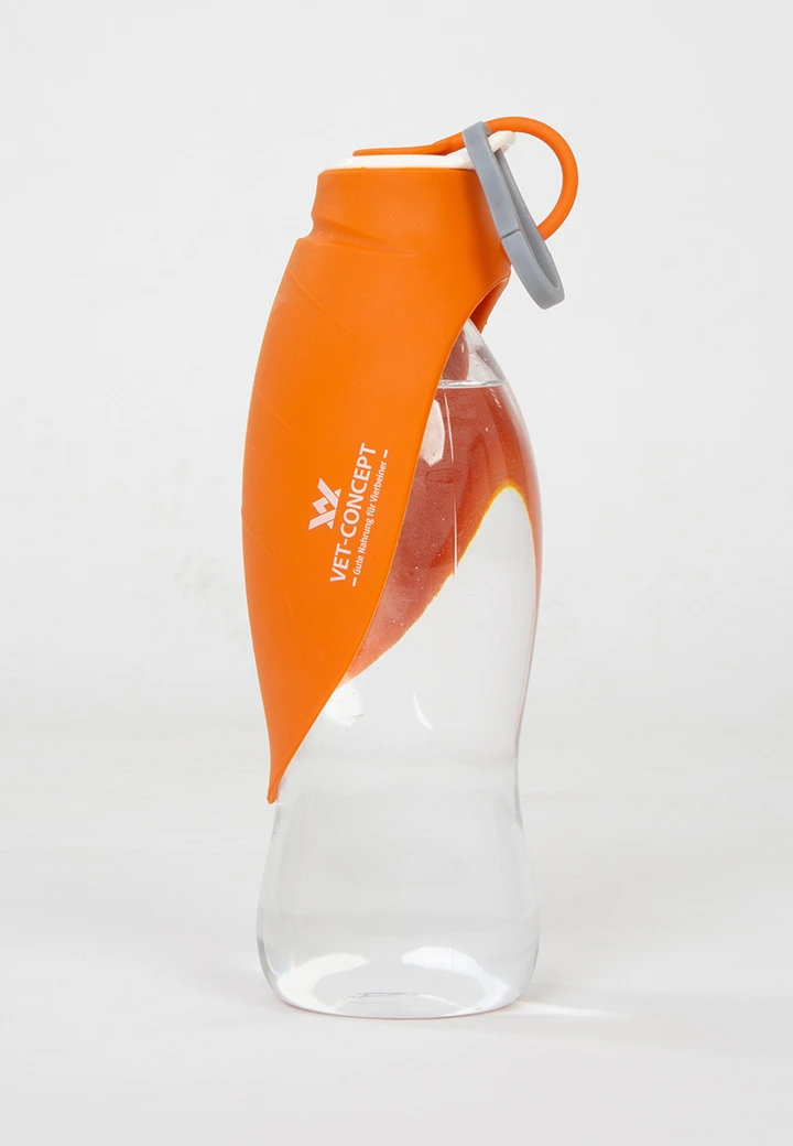 Travel drinking bottle Leaf