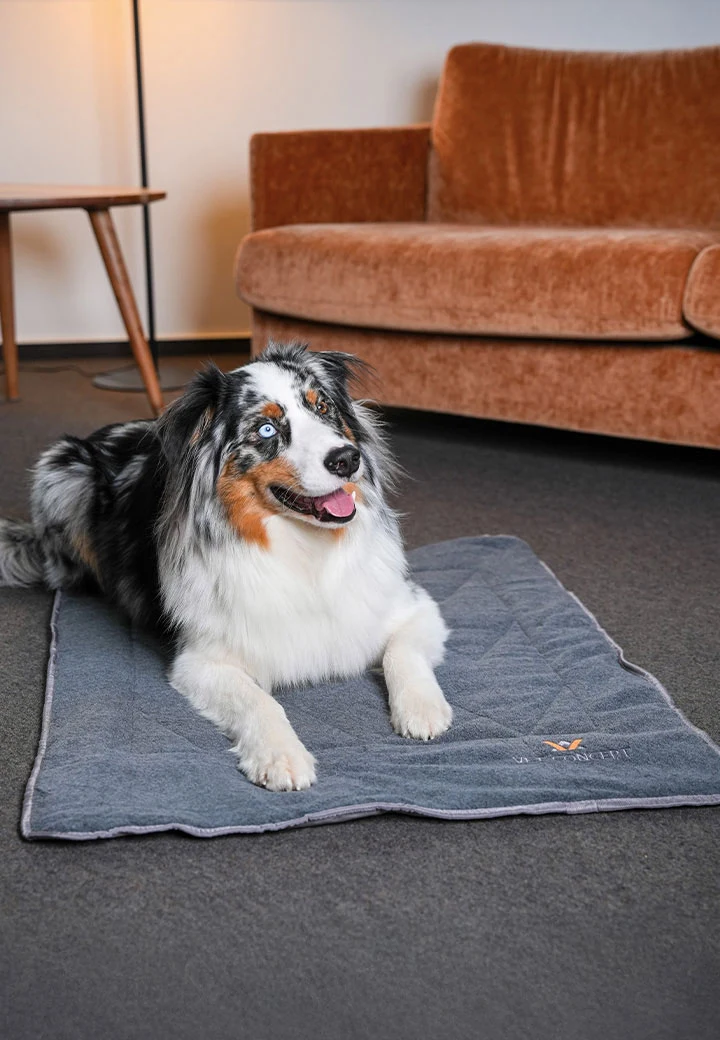 Vet-Concept Dog Travel Blanket