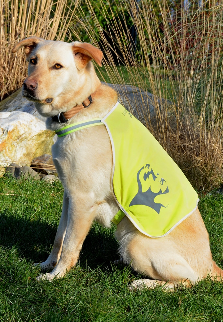 Vet-Concept High-visibility Vest
