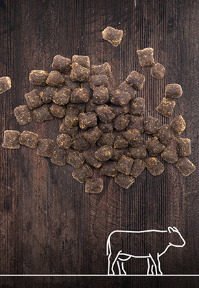  Beef nibbles, 100g 
