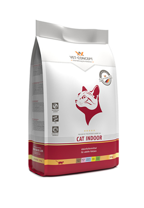  Cat Indoor 