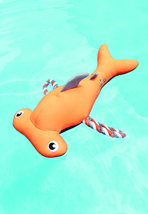  Hammerhead shark Oskar 