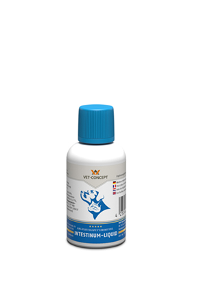  Intestinum-Liquid, 30ml 