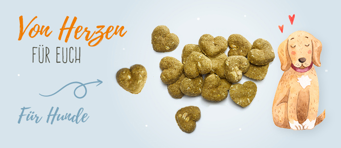 A little treat for dogs