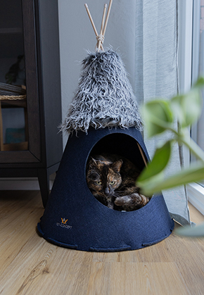 Cat Tepee