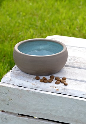 Cat bowl Ceramic Aqua