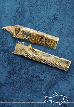 Codfish Bars, 100g