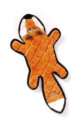 Crackling fox Franz