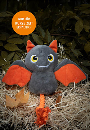Franzi the bat