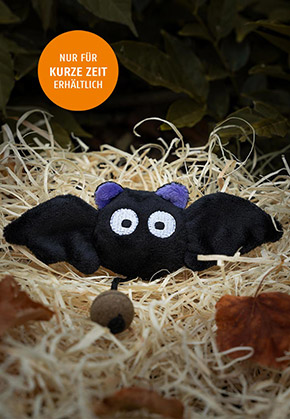 Josy the bat