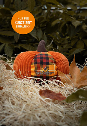 Large pumpkin