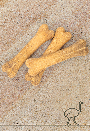 Ostrich bones, 3 pcs.  12 cm, 15 cm