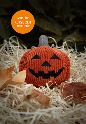 Pumpkin with a face