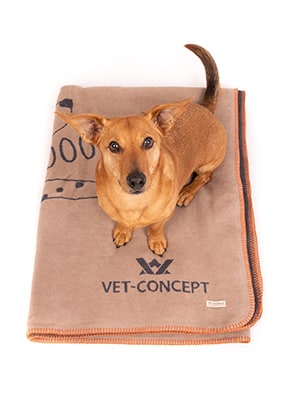 Vet-Concept Cuddle Blanket - Mach mal nen Punkt