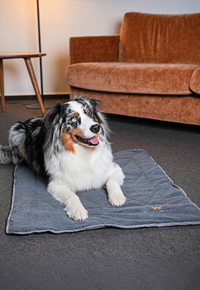 Vet-Concept Dog Travel Blanket